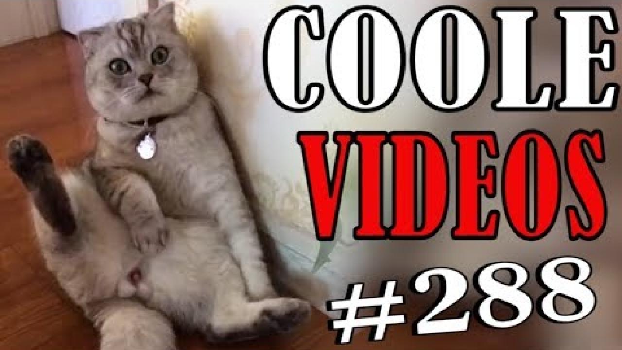 Embedded thumbnail for Coole Videos #288 - Scopri il meglio di Stern DuTube e gli errori esilaranti più divertenti