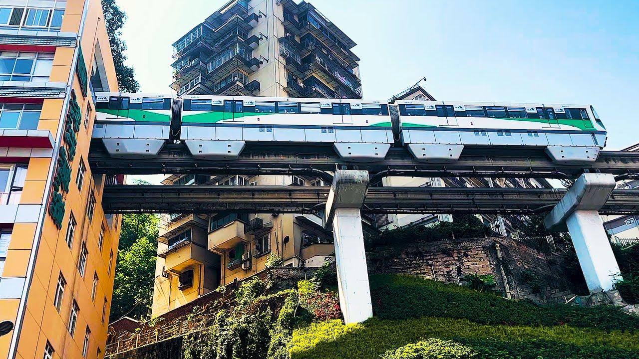 Embedded thumbnail for I migliori video 2023 (Parte 68) || ✪ Stern DuTube: video di gatti divertenti