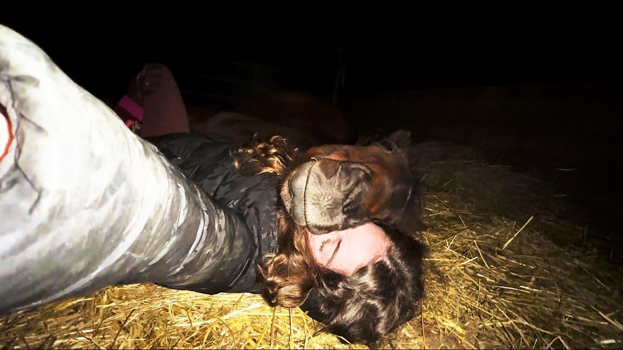 Embedded thumbnail for I migliori video del 2023 (Parte 130) || ✪ Stern DuTube con momenti carini di animali