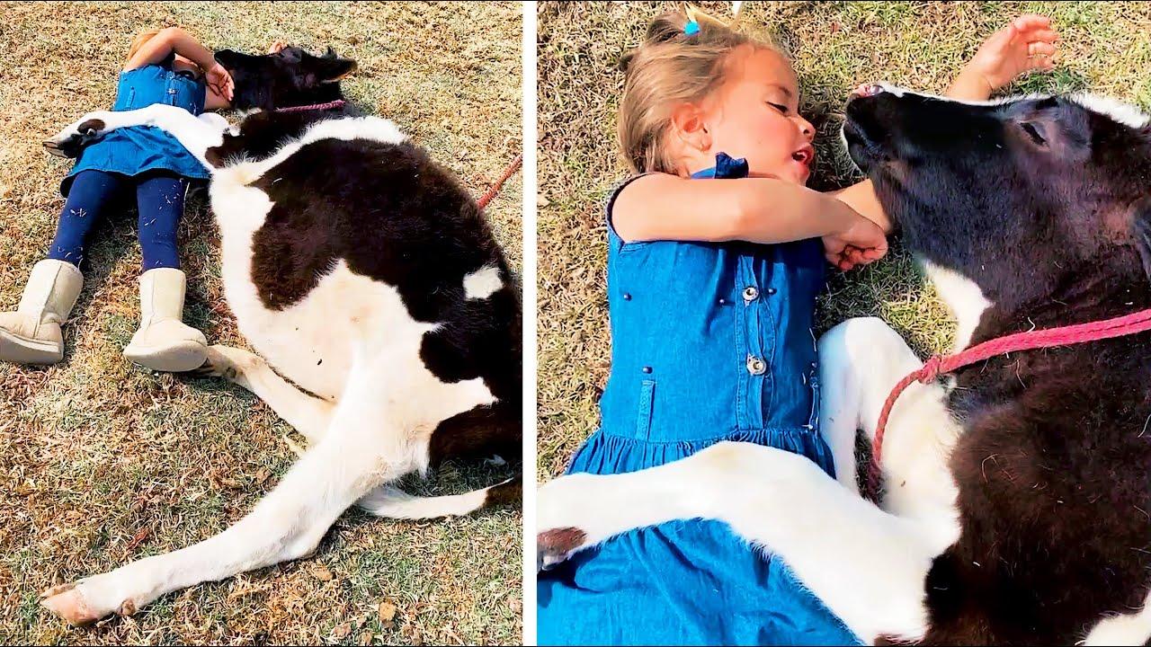 Embedded thumbnail for I migliori video del 2024 (Parte 25) || ✪ Stern DuTube: Momenti di falli di cani imperdibili