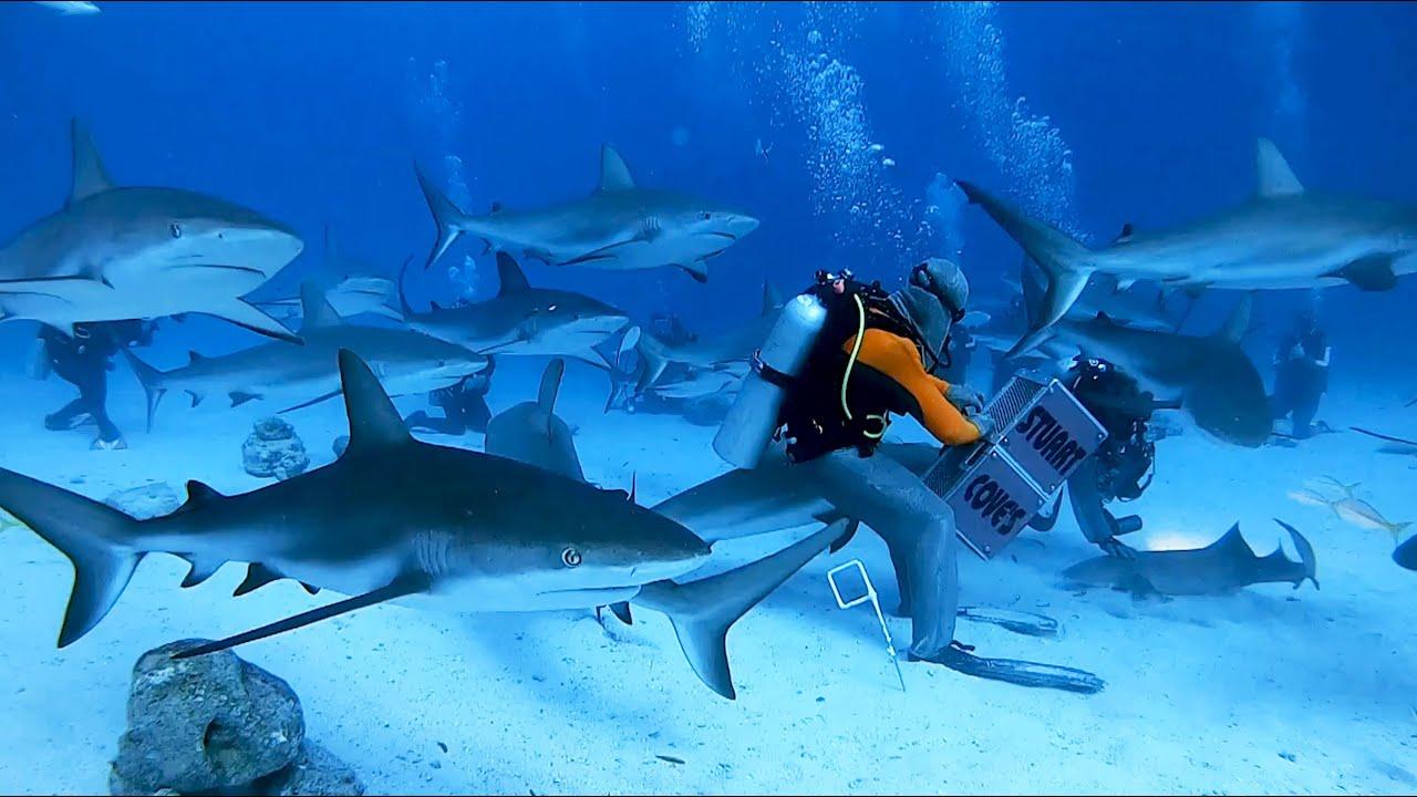 Embedded thumbnail for I migliori video del 2023 (Parte 26) || ✪ Stern DuTube - momenti insoliti