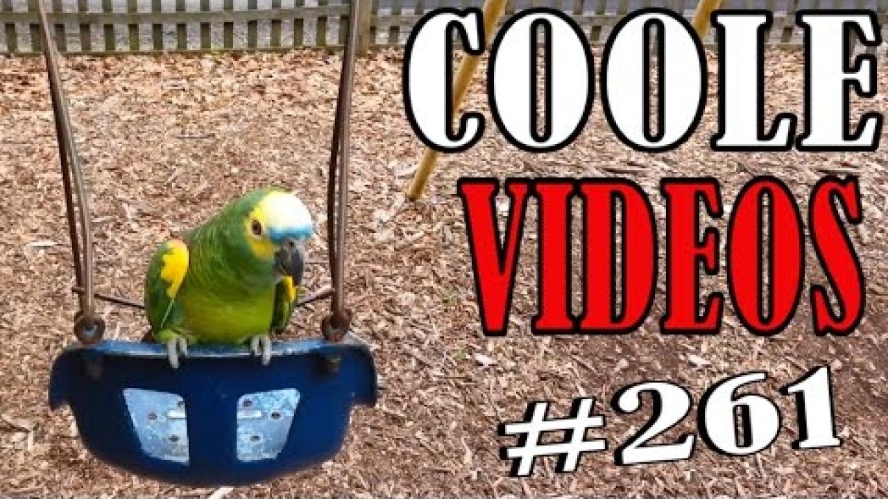 Embedded thumbnail for Video fantastici 261 Stern DuTube compilation divertente di clip virali e fail errori esilaranti