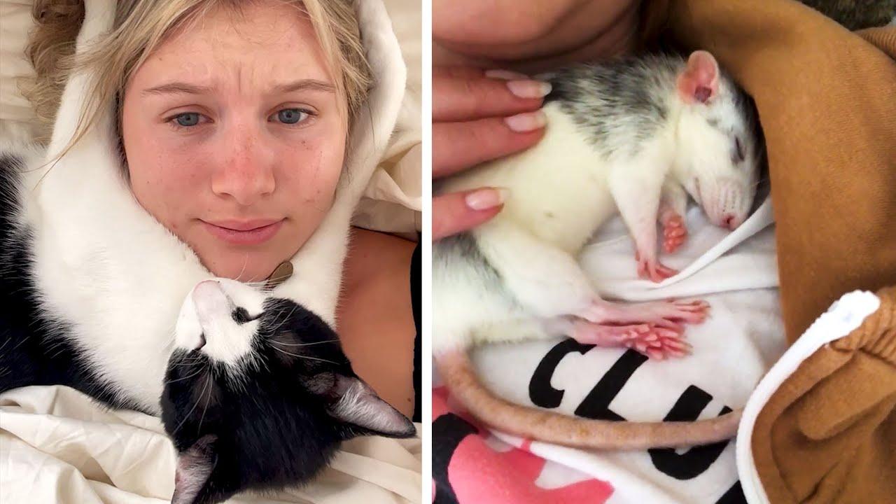 Embedded thumbnail for I migliori video del 2022 Parte 83 || ✪ Stern DuTube momenti insoliti