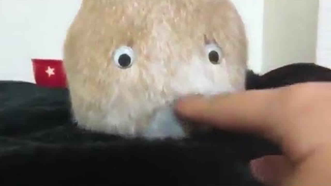 Embedded thumbnail for Video Divertenti e Carini di Animali (Parte 36) || ✪ Stern DuTube umorismo animale 2025