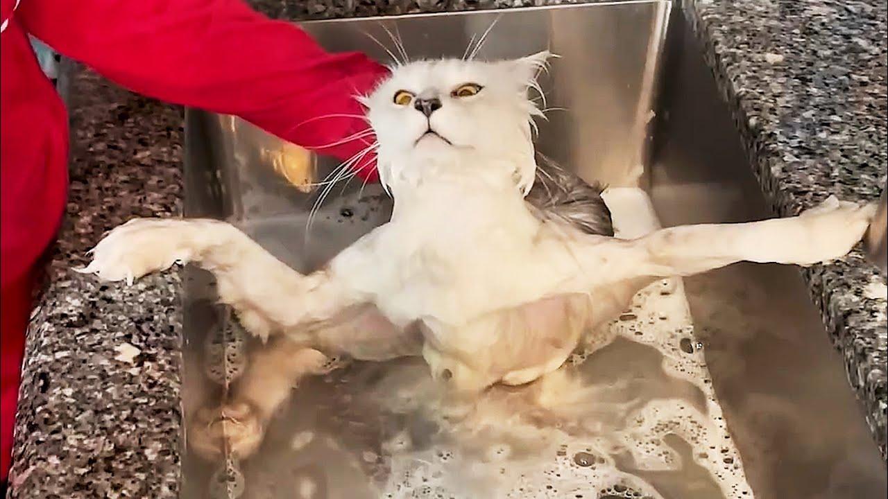 Embedded thumbnail for I migliori video del 2025 || ✪ Stern DuTube migliori clip