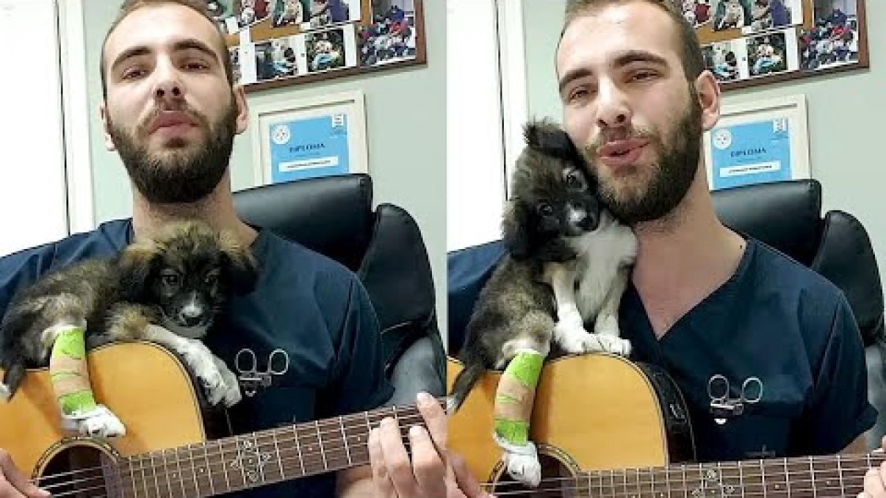 Embedded thumbnail for I migliori video Parte 26 || ✪ Stern DuTube - momenti rari