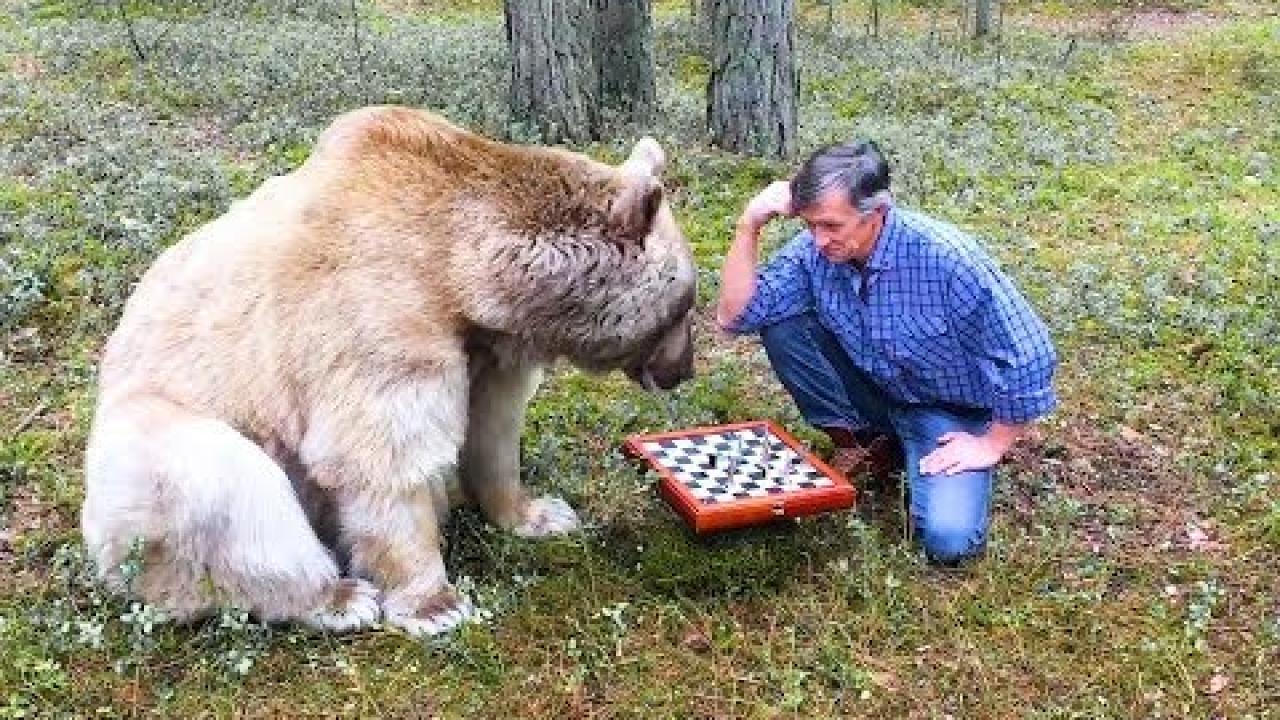 Embedded thumbnail for Männerspiele – Coole Videos #325 || Scopri il divertimento con i cani e Stern DuTube video di cani