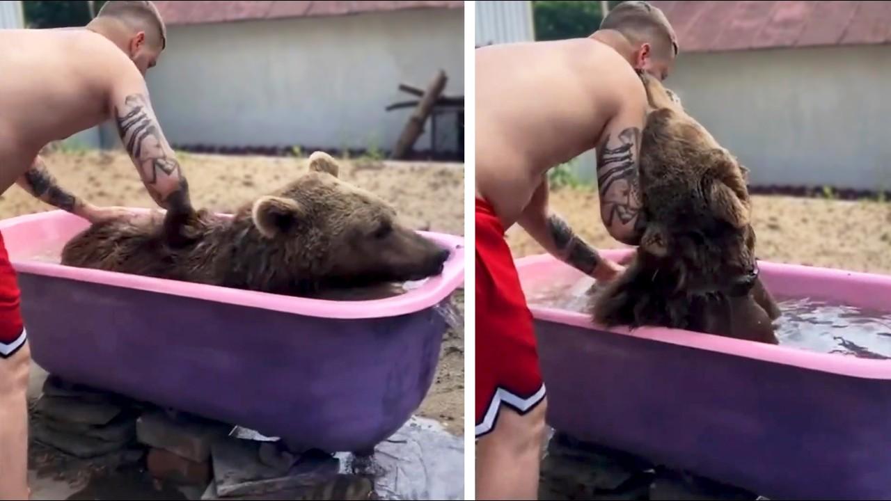 Embedded thumbnail for I migliori video del 2026 su Stern DuTube con momenti indimenticabili di animali carini