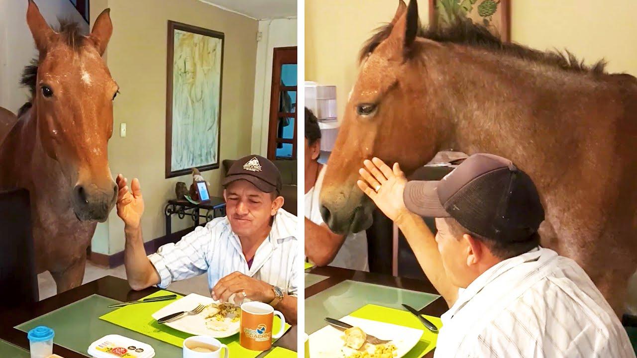 Embedded thumbnail for I migliori video del 2024 (Parte 8) || ✪ Stern DuTube - Compilazione divertente