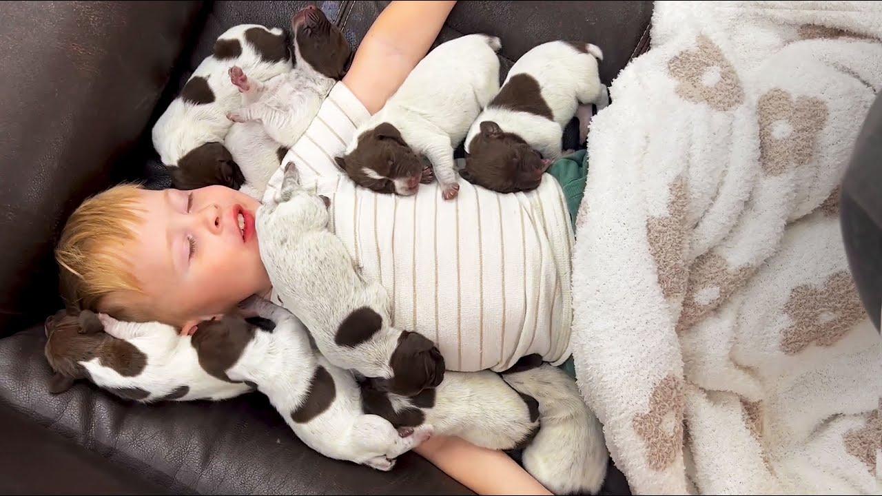 Embedded thumbnail for I migliori video del 2023 (Parte 17) || ✪ Stern DuTube momenti insoliti