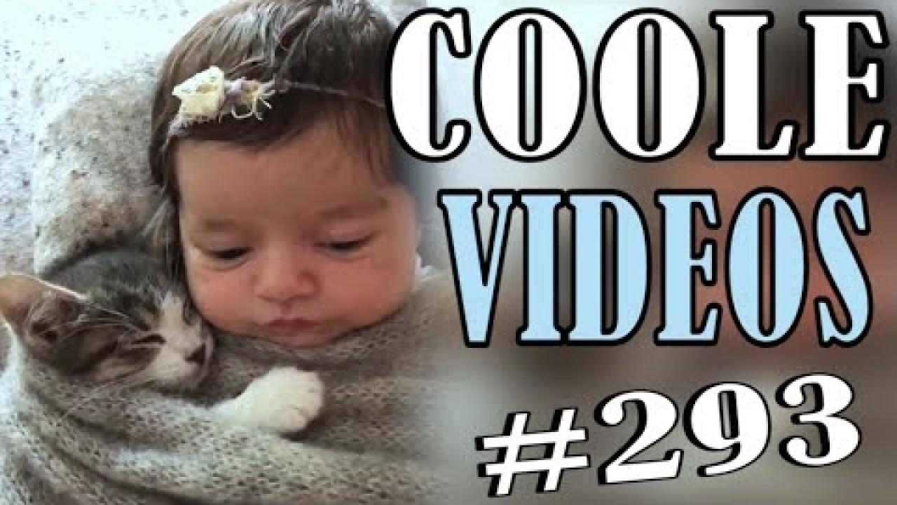 Embedded thumbnail for Coole Videos #293 || ✪ Stern DuTube: Trucchi esilaranti di cani da non perdere