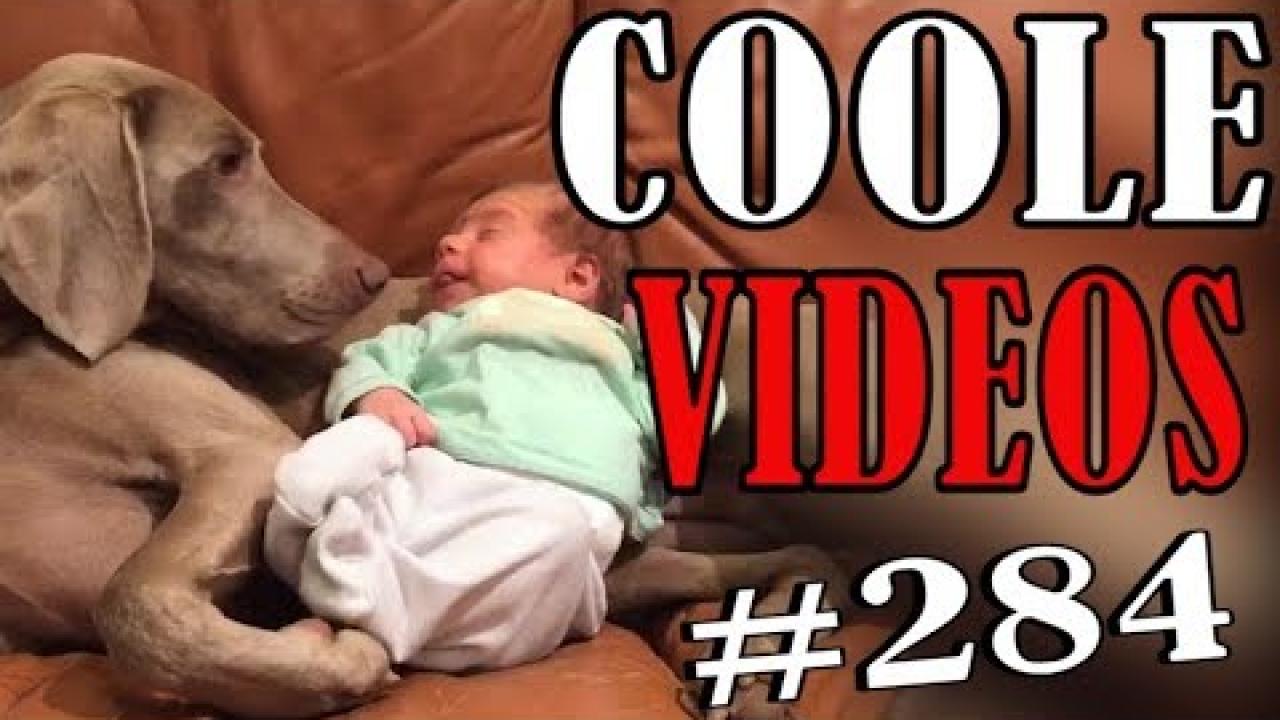 Embedded thumbnail for Coole Videos #284 || ✪ Stern DuTube: errori esilaranti e momenti divertenti da non perdere