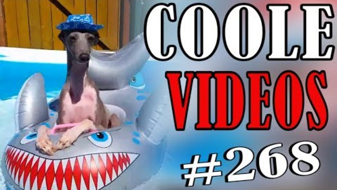 Embedded thumbnail for Top video incredibili episodio 268 di Stern DuTube, compilation dei migliori video virali