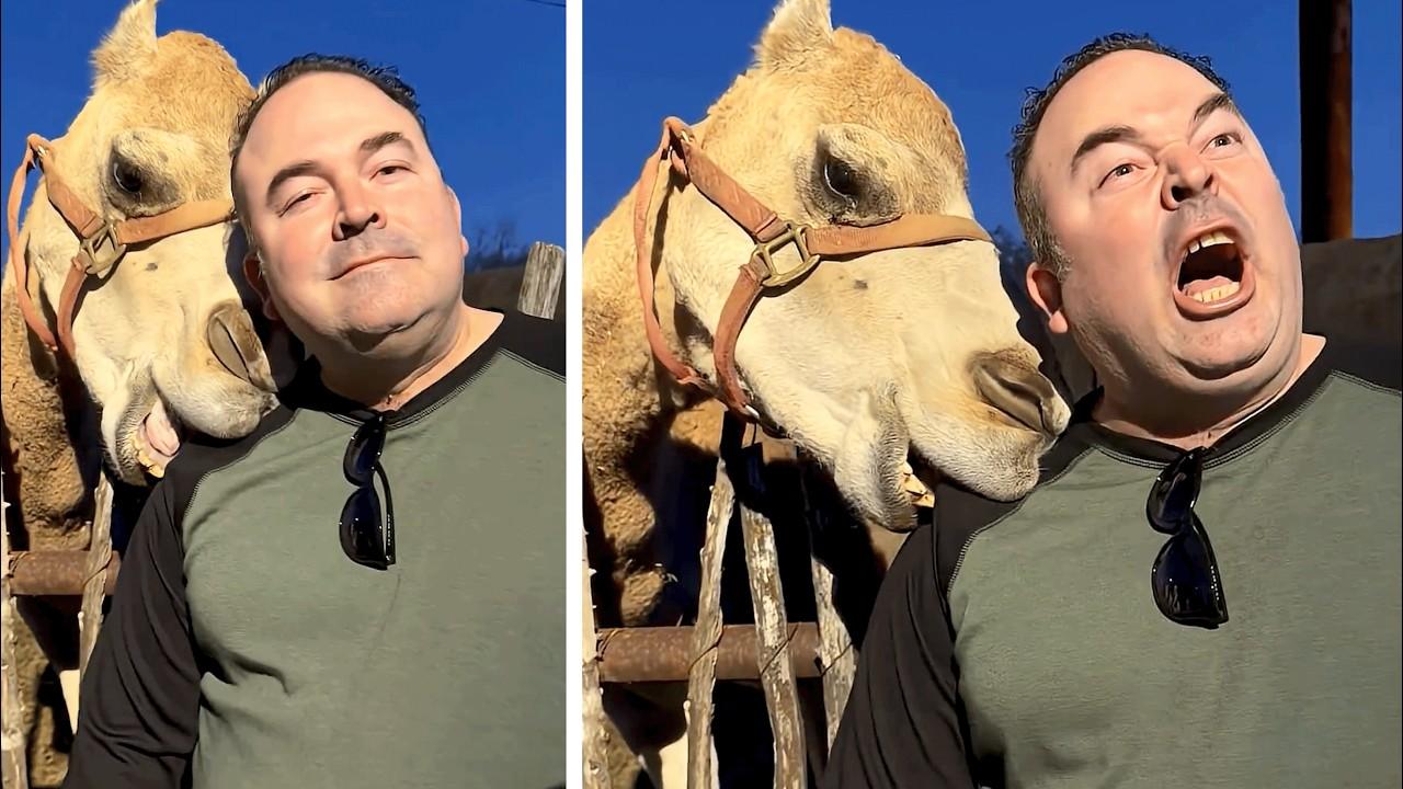 Embedded thumbnail for I migliori video del 2026 con reazioni adorabili di animali su Stern DuTube