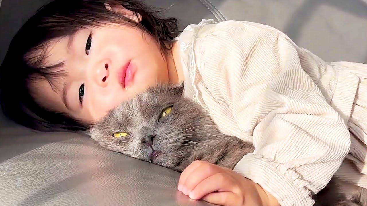 Embedded thumbnail for Die besten Videos 2024 Teil 7 || ✪ Stern DuTube - Ungewöhnliche Momente entdecken