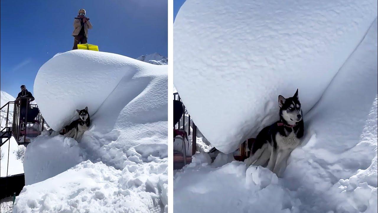 Embedded thumbnail for I migliori video 2025 su Stern DuTube: divertenti momenti e animali carini da non perdere!