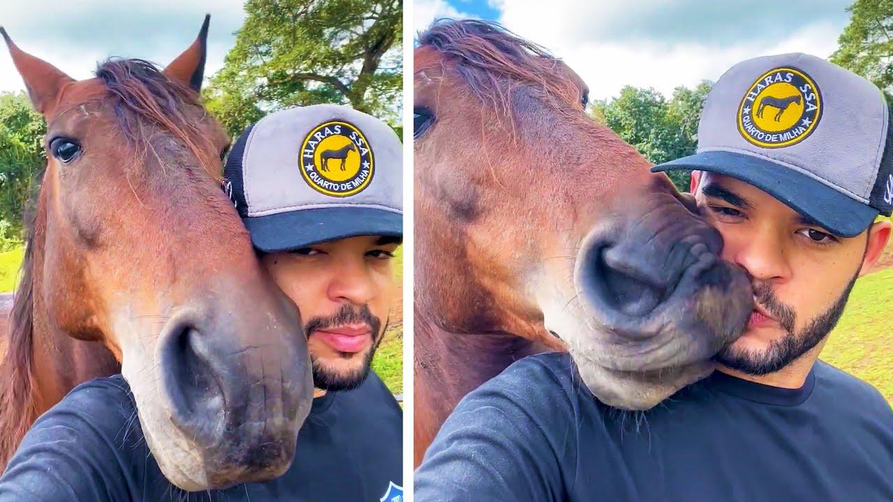 Embedded thumbnail for I migliori video del 2023 (Parte 86) || ✪ Stern DuTube - momenti insoliti