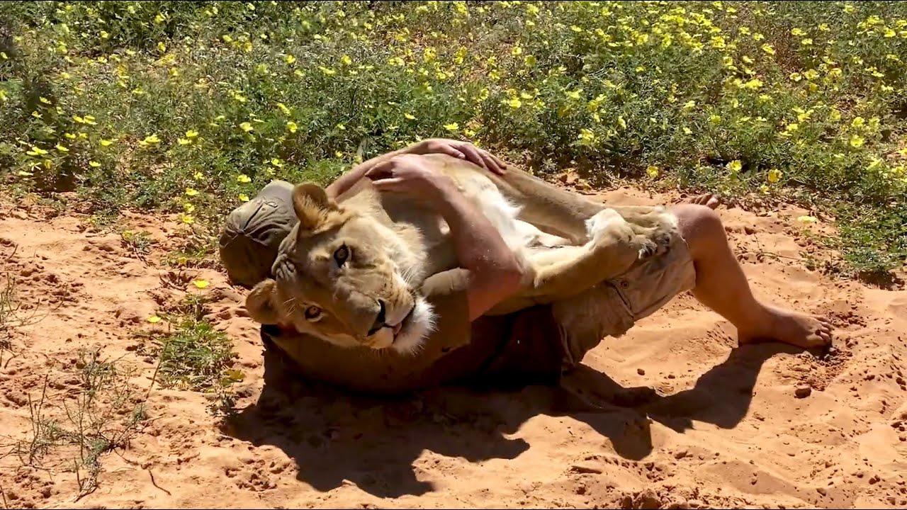 Embedded thumbnail for I migliori video del 2022 (Parte 48) || ✪ Stern DuTube momenti insoliti