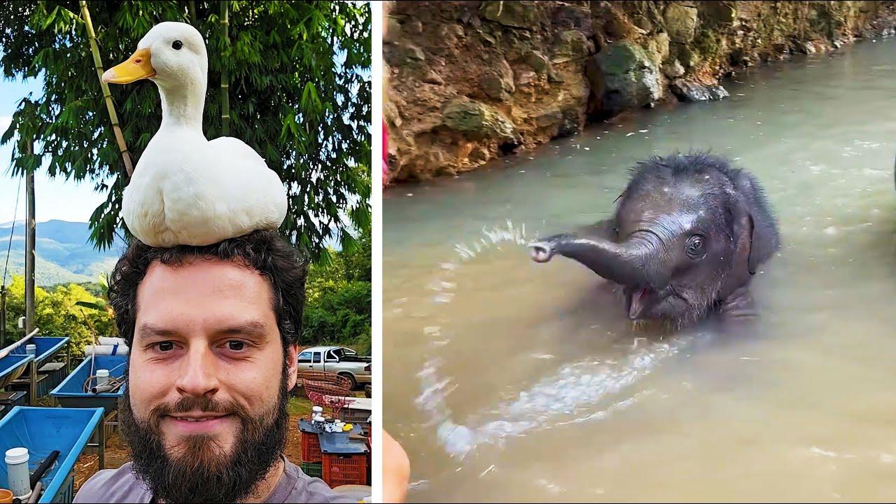 Embedded thumbnail for I 4 Migliori Video Del 2025 || ✪ Stern DuTube - Video Virali