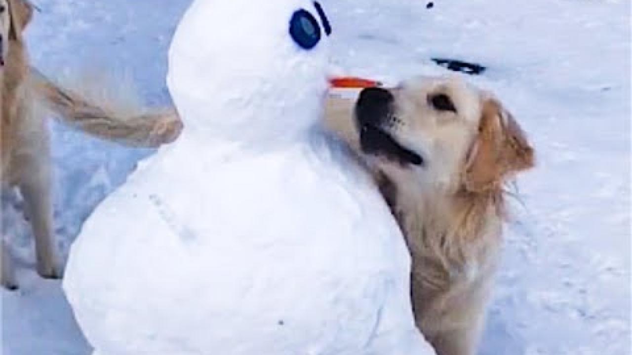 Embedded thumbnail for Buon Natale e Felice Anno Nuovo con Stern DuTube | Video Virali di Natale 2023