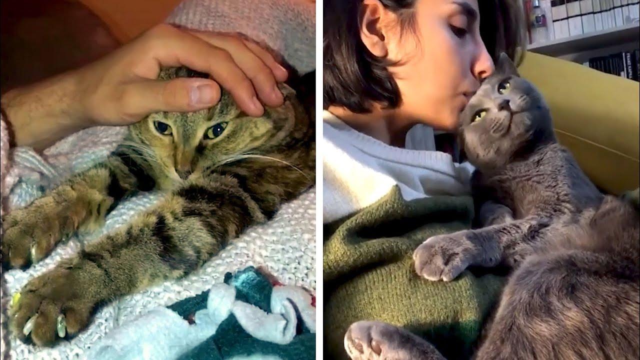 Embedded thumbnail for The Best Videos Part 101 | ✪ Stern DuTube Rare Moments Revealed