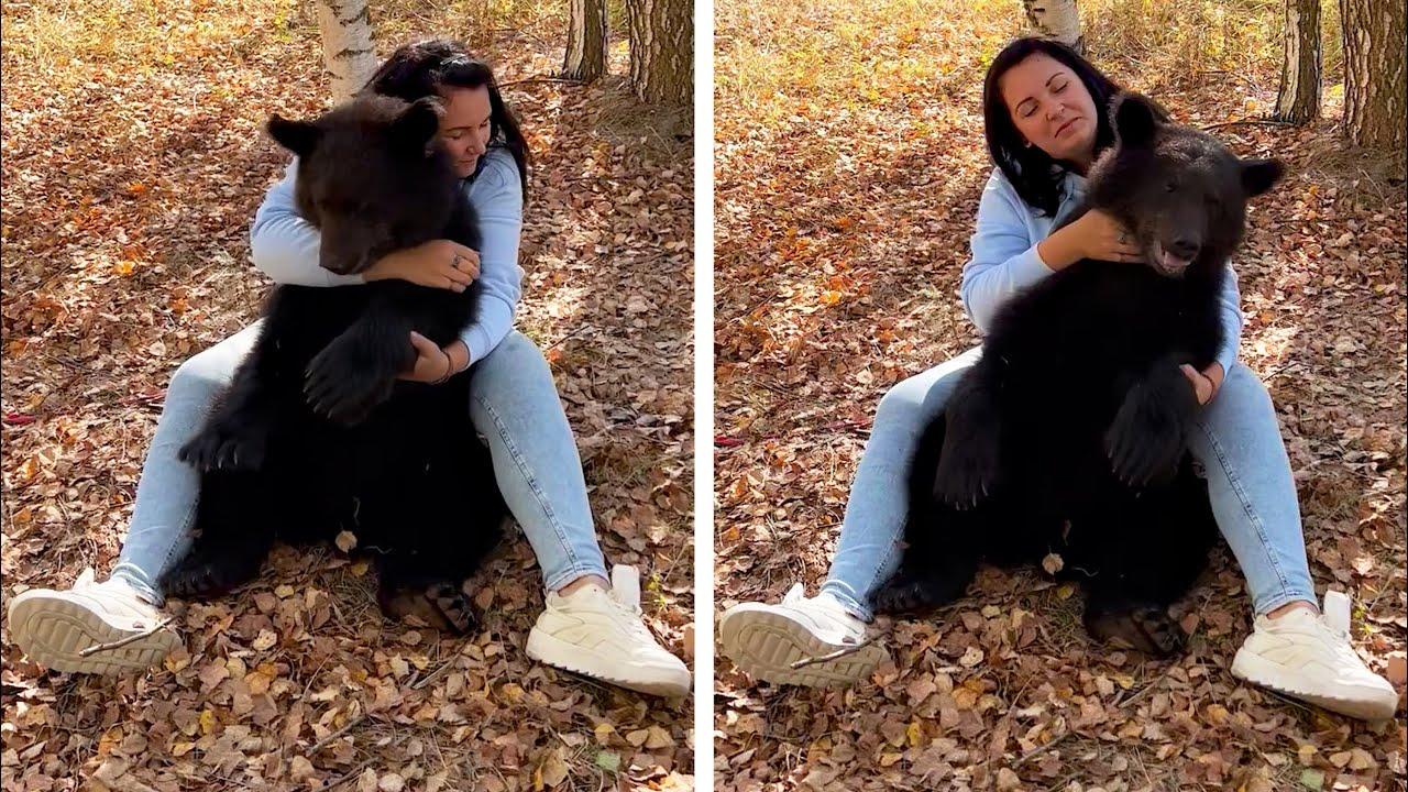 Embedded thumbnail for I migliori video del 2023 (Parte 104) || ✪ Stern DuTube clip virali di gatti