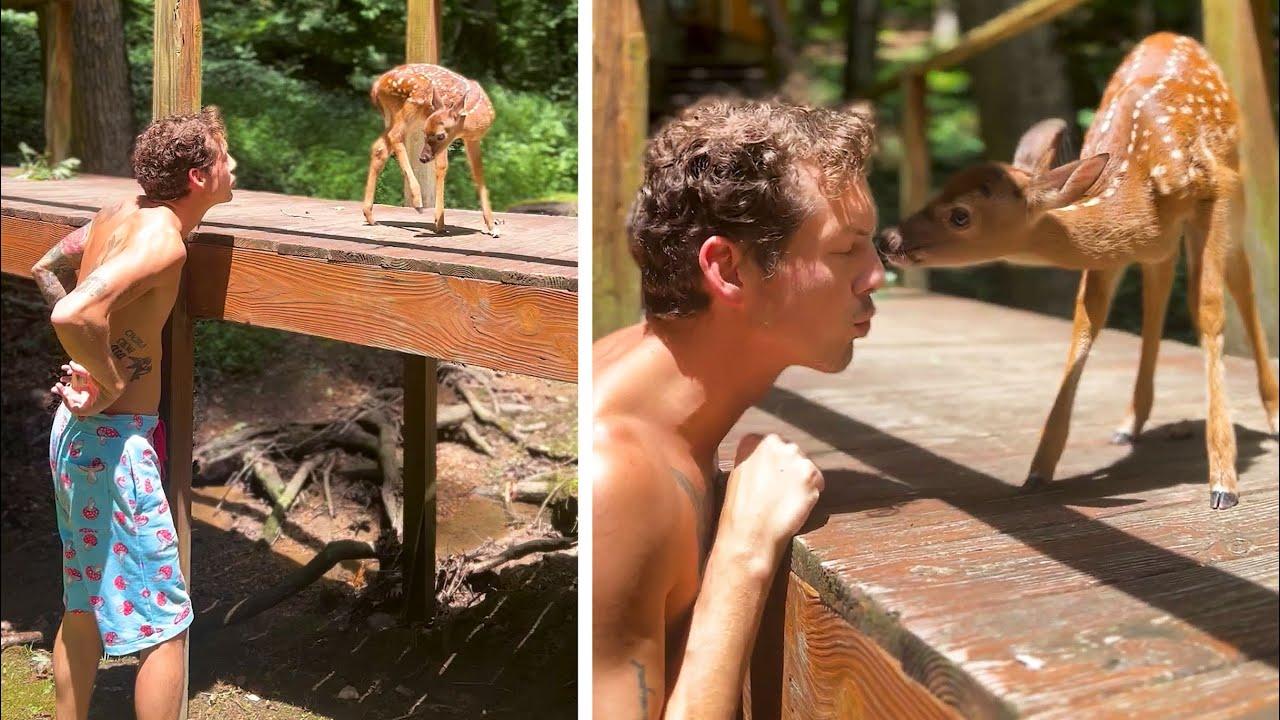 Embedded thumbnail for I migliori video del 2022 (Parte 88) || ✪ Stern DuTube: errori esilaranti da non perdere