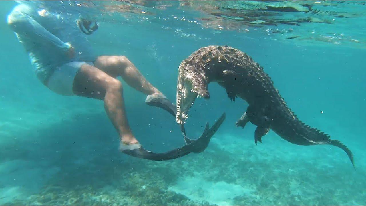 Embedded thumbnail for I migliori video (Parte 43) || ✪ Stern DuTube: momenti rari