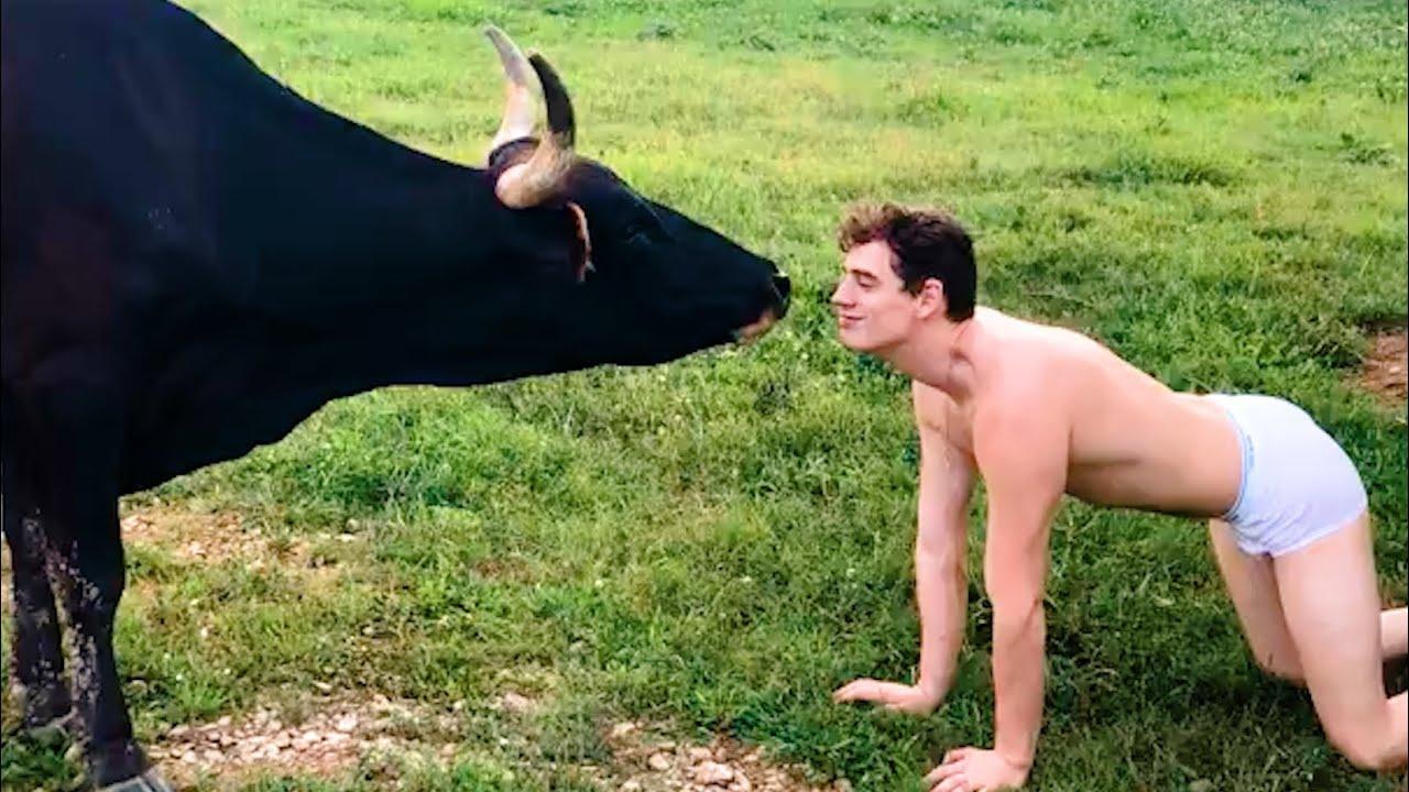 Embedded thumbnail for I migliori video Die besten Videos (Parte 109) || ✪ Stern DuTube errori esilaranti