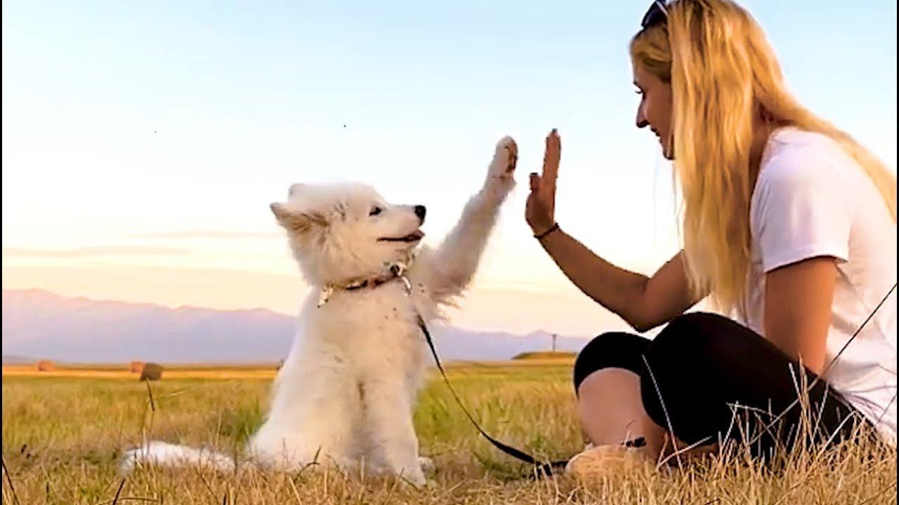 Embedded thumbnail for I migliori video del momento Parte 91 || ✪ Stern DuTube momenti rari