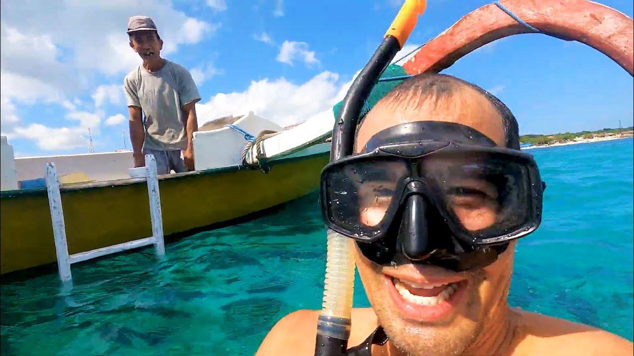 Embedded thumbnail for I migliori video (Parte 66) || ✪ Stern DuTube: momenti di falli di cani divertenti