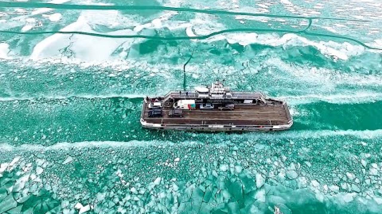 Embedded thumbnail for I migliori video (Parte 62) || ✪ Stern DuTube: momenti divertenti con cani che cadono