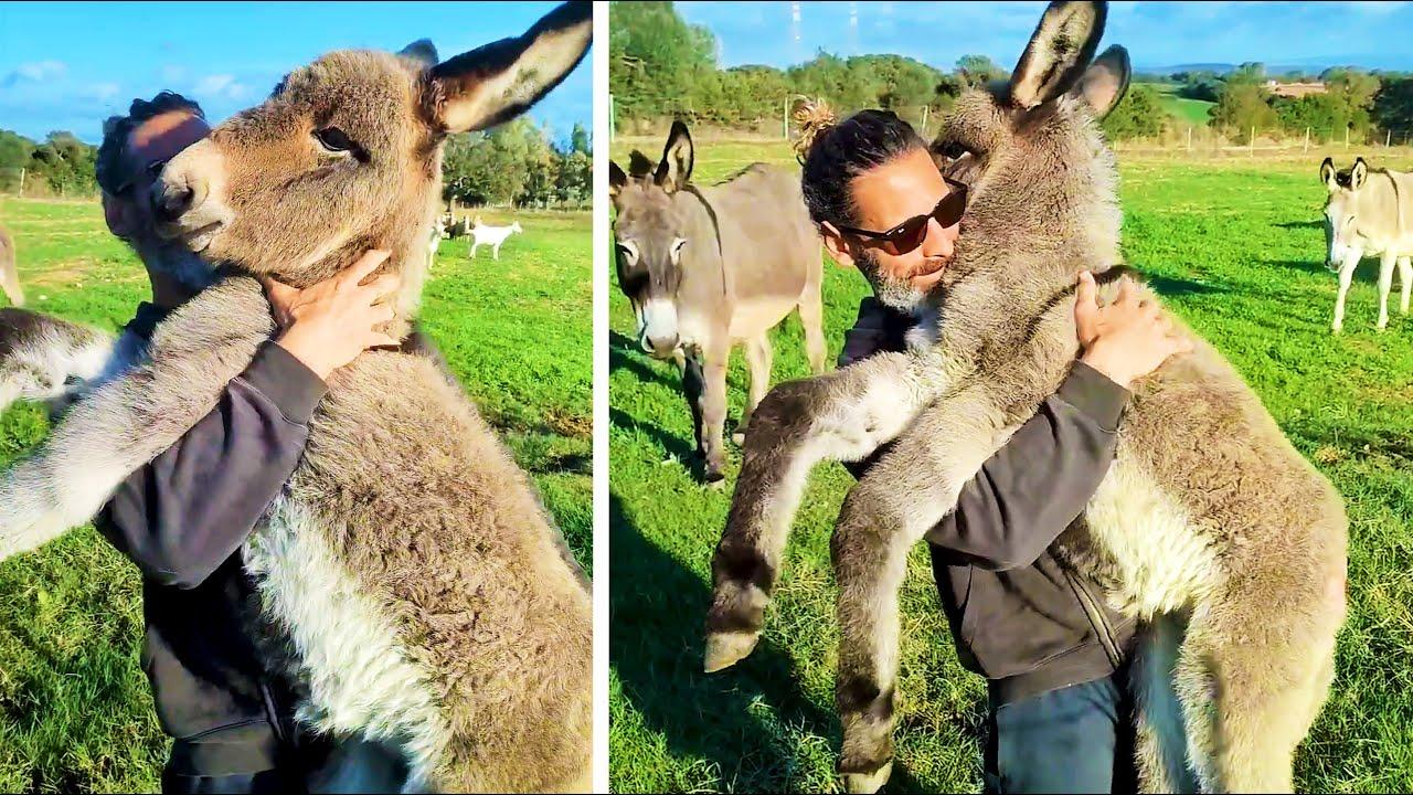 Embedded thumbnail for I 70 migliori video di sempre da non perdere video virali