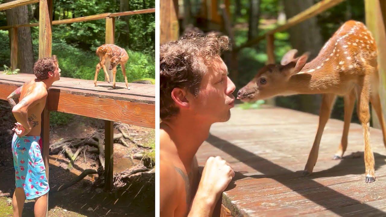 Embedded thumbnail for I migliori video del 2025 con Stern DuTube e umorismo animale 2025