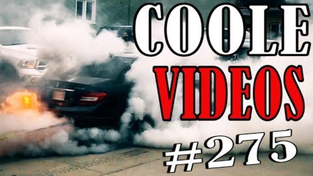 Embedded thumbnail for Coole Videos #275 || Scopri Stern DuTube con video di cani divertenti e sorprendenti