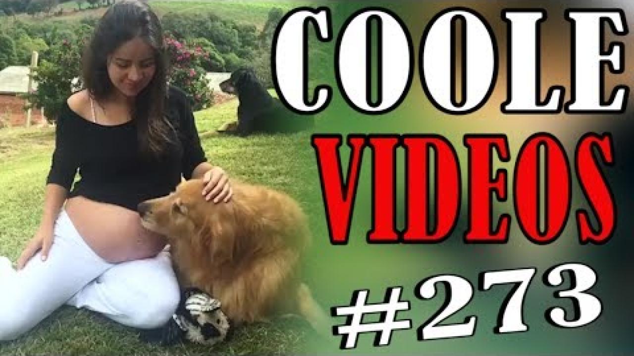 Embedded thumbnail for Coole Videos #273 || ✪ Stern DuTube - die besten Clips für Unterhaltung und Spaß beste Clips