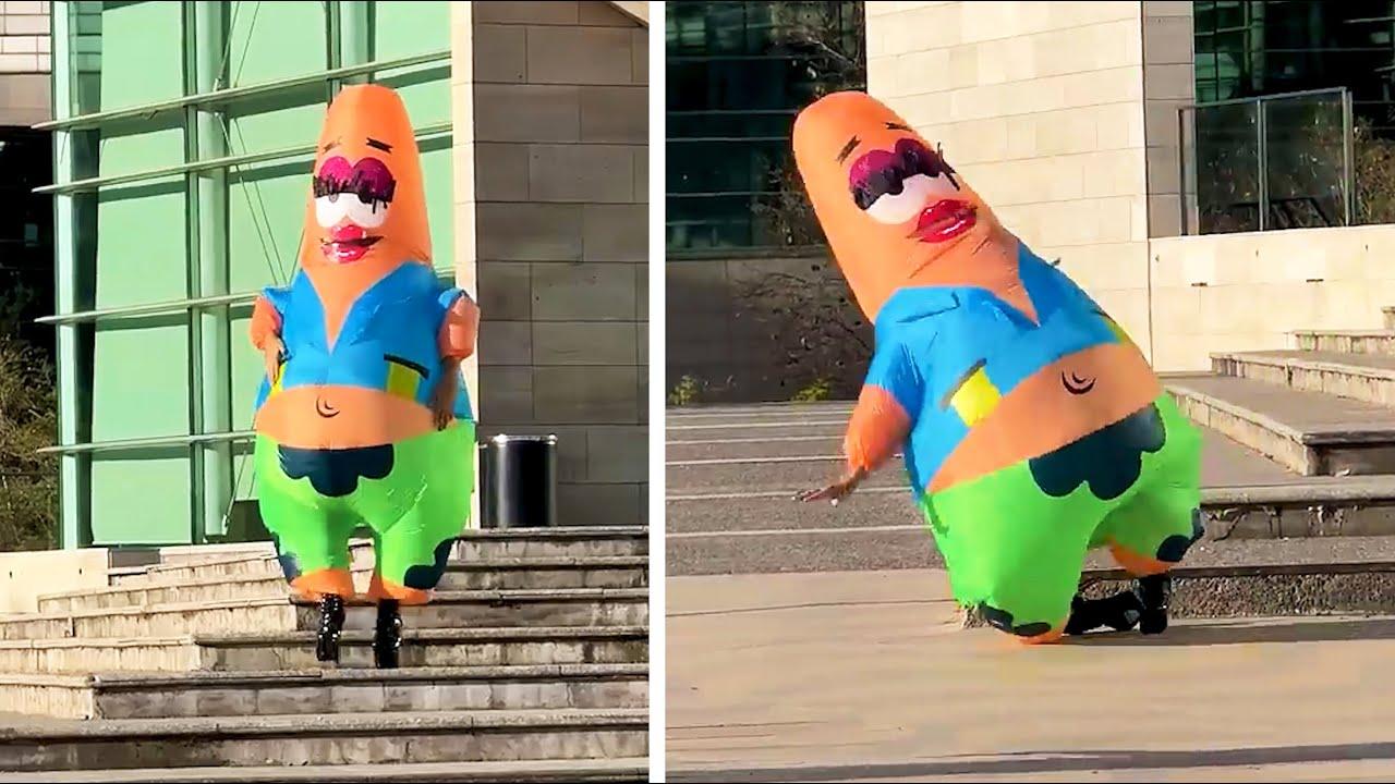 Embedded thumbnail for I 71 migliori video di sempre e highlights di animali carini per un sorriso assicurato