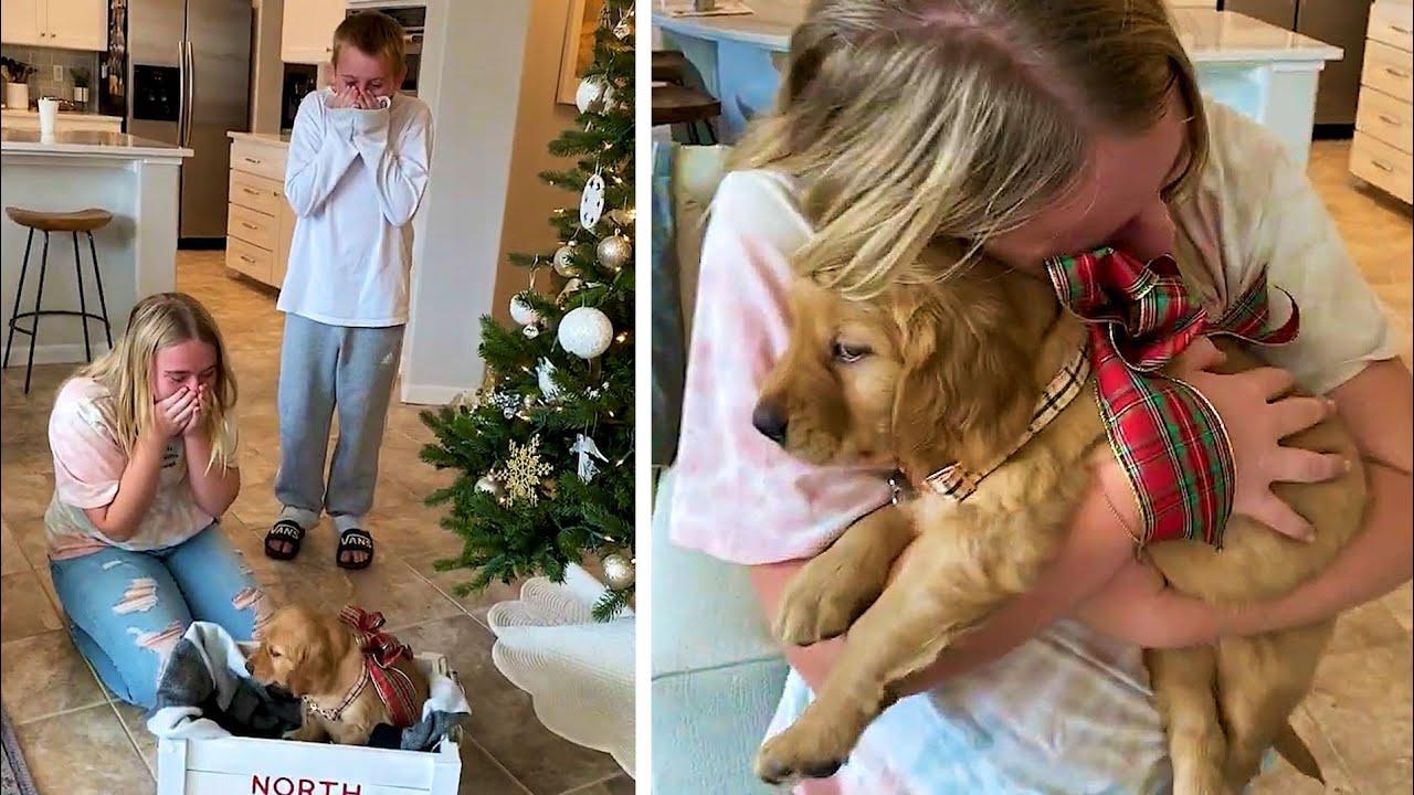 Embedded thumbnail for I migliori video della settimana (Parte 129) || ✪ Stern DuTube 🎄 momenti rari