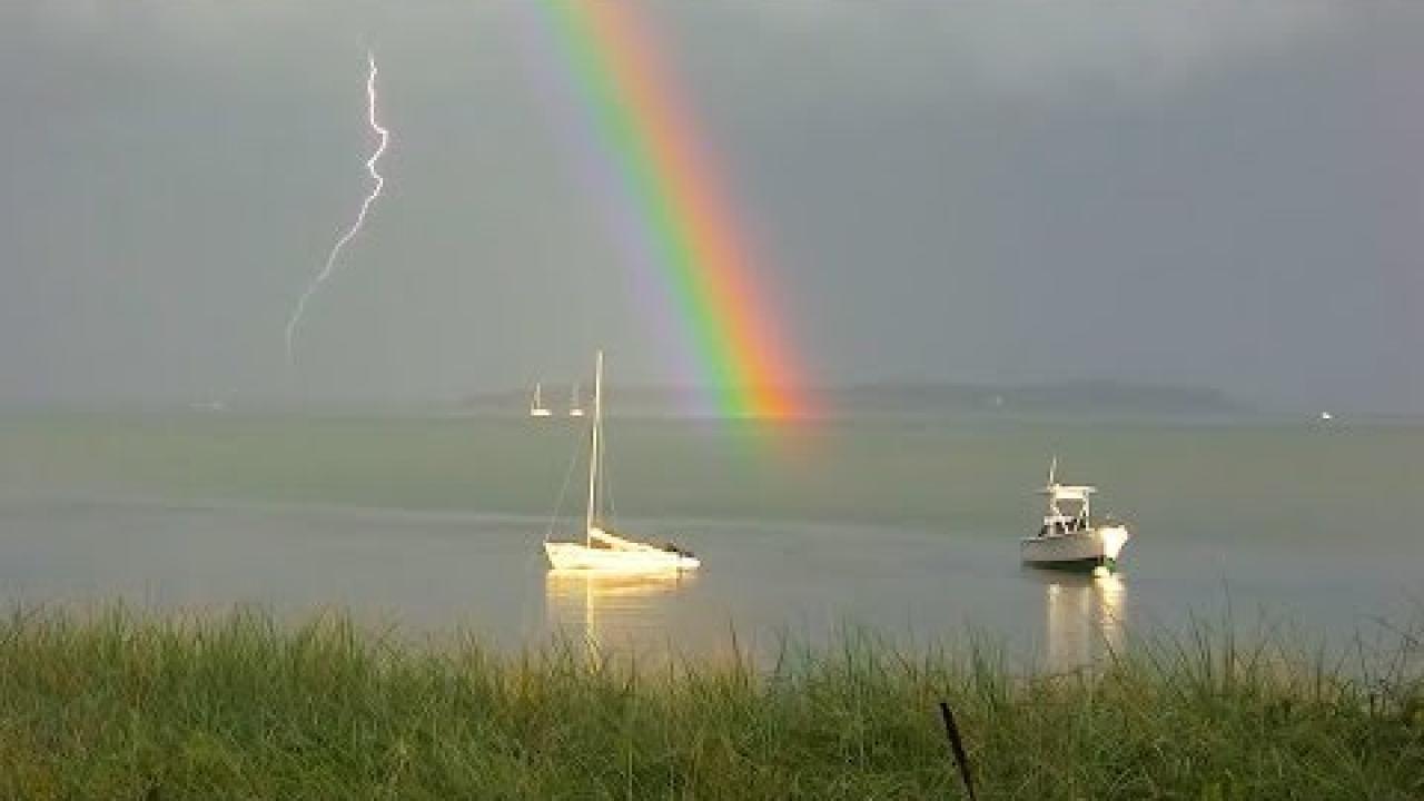 Embedded thumbnail for Coole Videos #333 || ✪ Stern DuTube: I video di cani più divertenti e adorabili di sempre