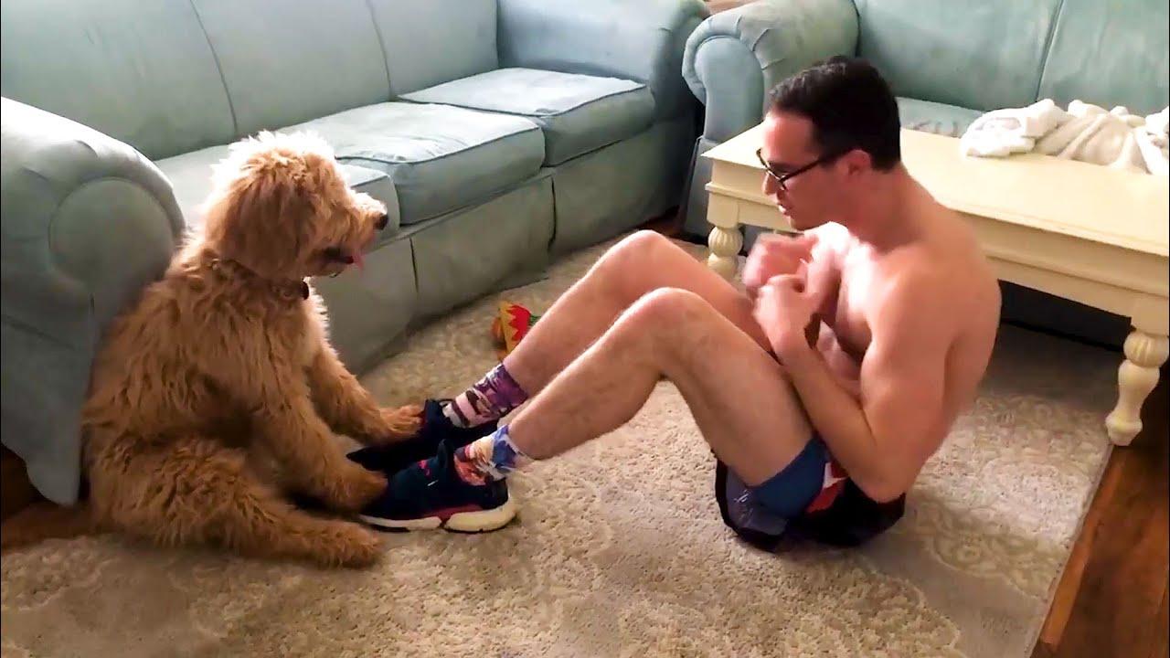 Embedded thumbnail for I migliori video di sempre || Parte 15 con momenti rari da non perdere