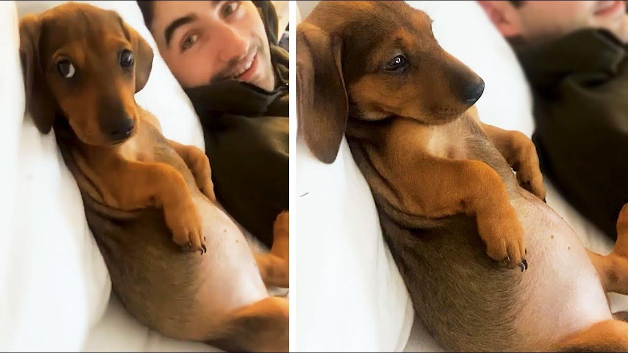 Embedded thumbnail for I migliori video del 2023 Parte 23 || ✪ Stern DuTube errori esilaranti