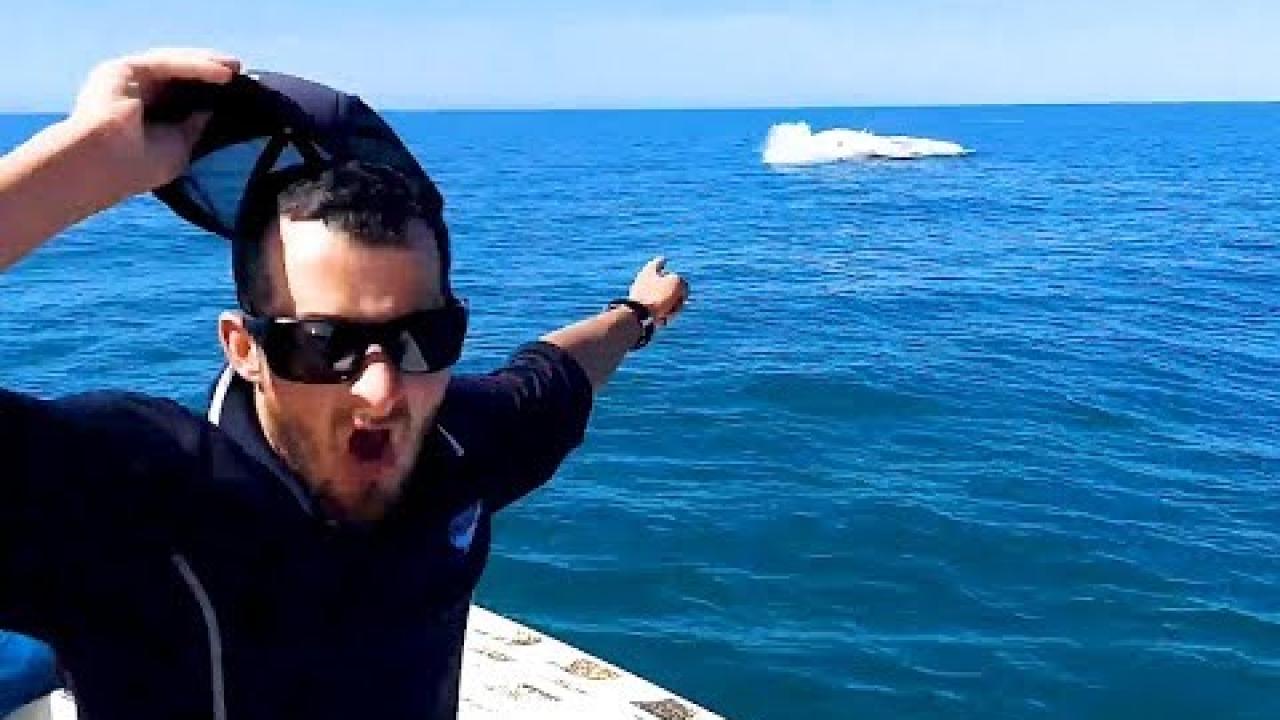 Embedded thumbnail for I migliori video di sempre (Parte 37) || ✪ Stern DuTube: video di gatti divertenti