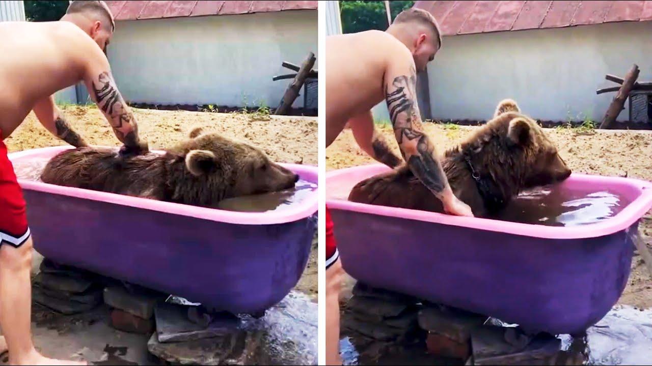 Embedded thumbnail for I migliori video del 2023 (Parte 132) || ✪ Stern DuTube - momenti di falli di cani