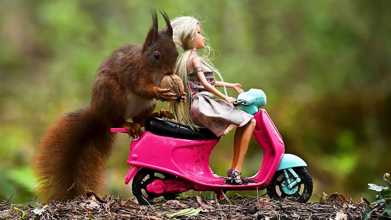 Embedded thumbnail for I migliori video del 2024 (Parte 53) || ✪ Stern DuTube - Errori esilaranti