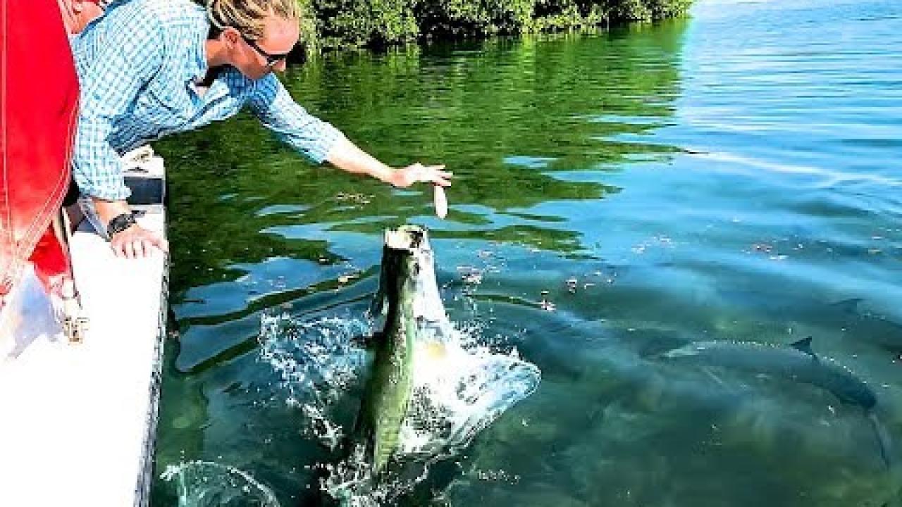 Embedded thumbnail for I migliori video di Stern DuTube (Parte 45) || Video virali di animali 2025