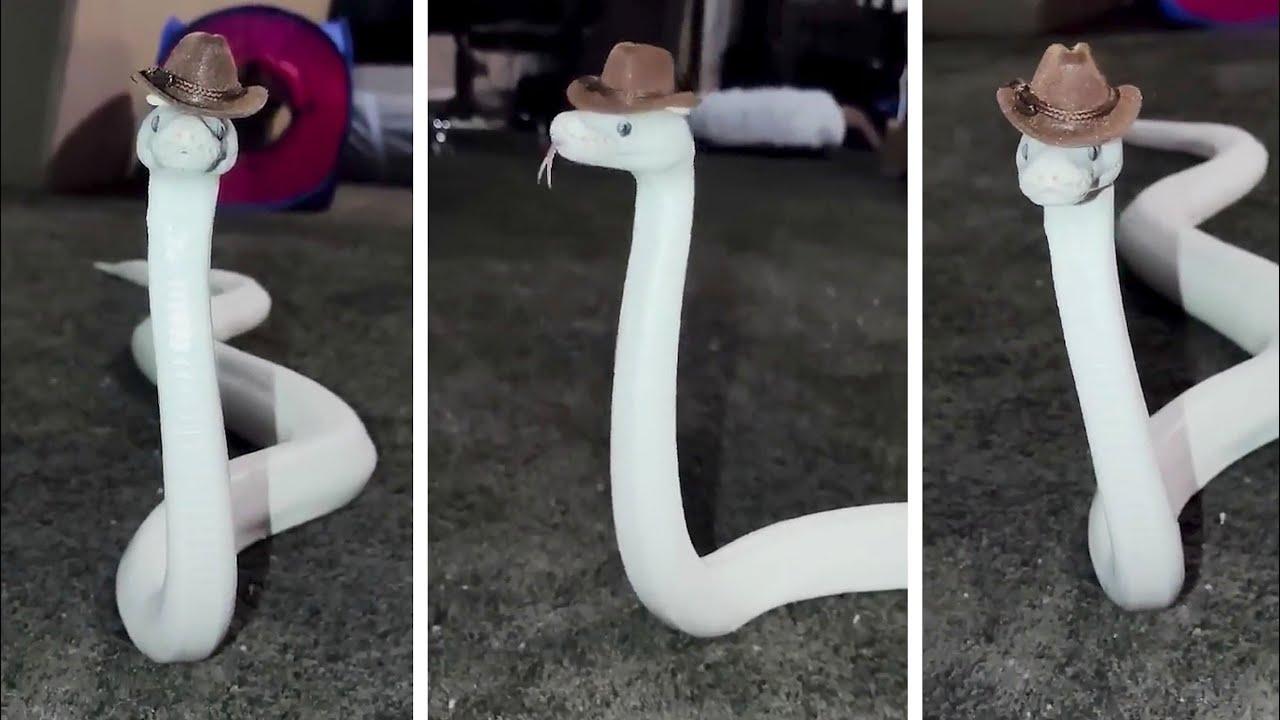 Embedded thumbnail for I migliori video del 2025: top 17 della settimana con clip virali di gatti