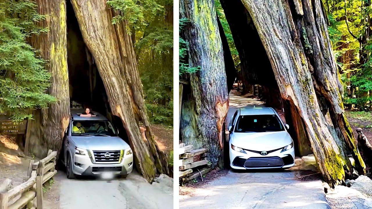 Embedded thumbnail for I migliori video del 2023 (Parte 109) || ✪ Stern DuTube | Video virali di animali 2025