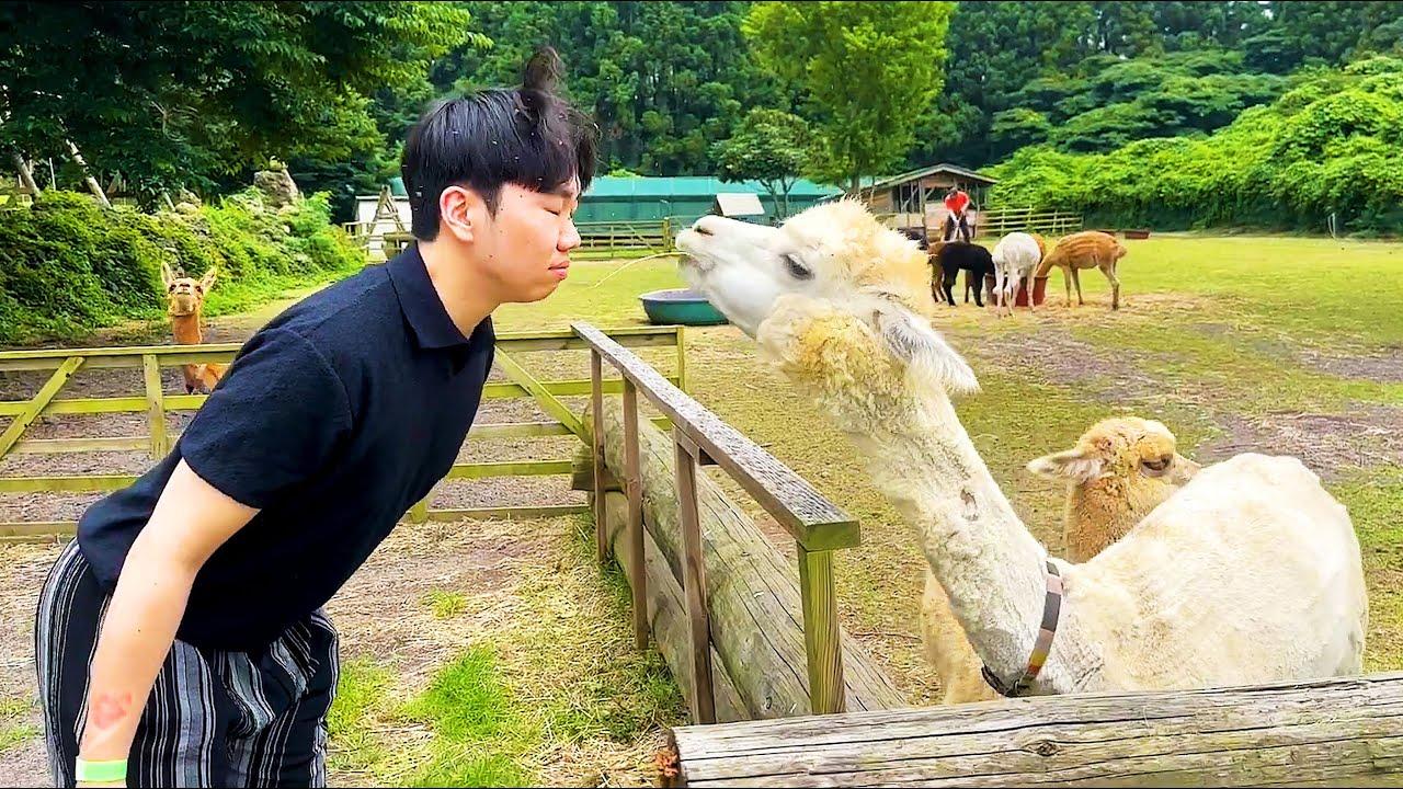 Embedded thumbnail for I migliori video 2023 (Parte 96) || ✪ Stern DuTube - Trucchi esilaranti di cani