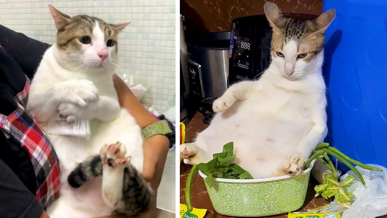 Embedded thumbnail for I migliori video del 2025 con Stern DuTube - Le migliori clip da non perdere