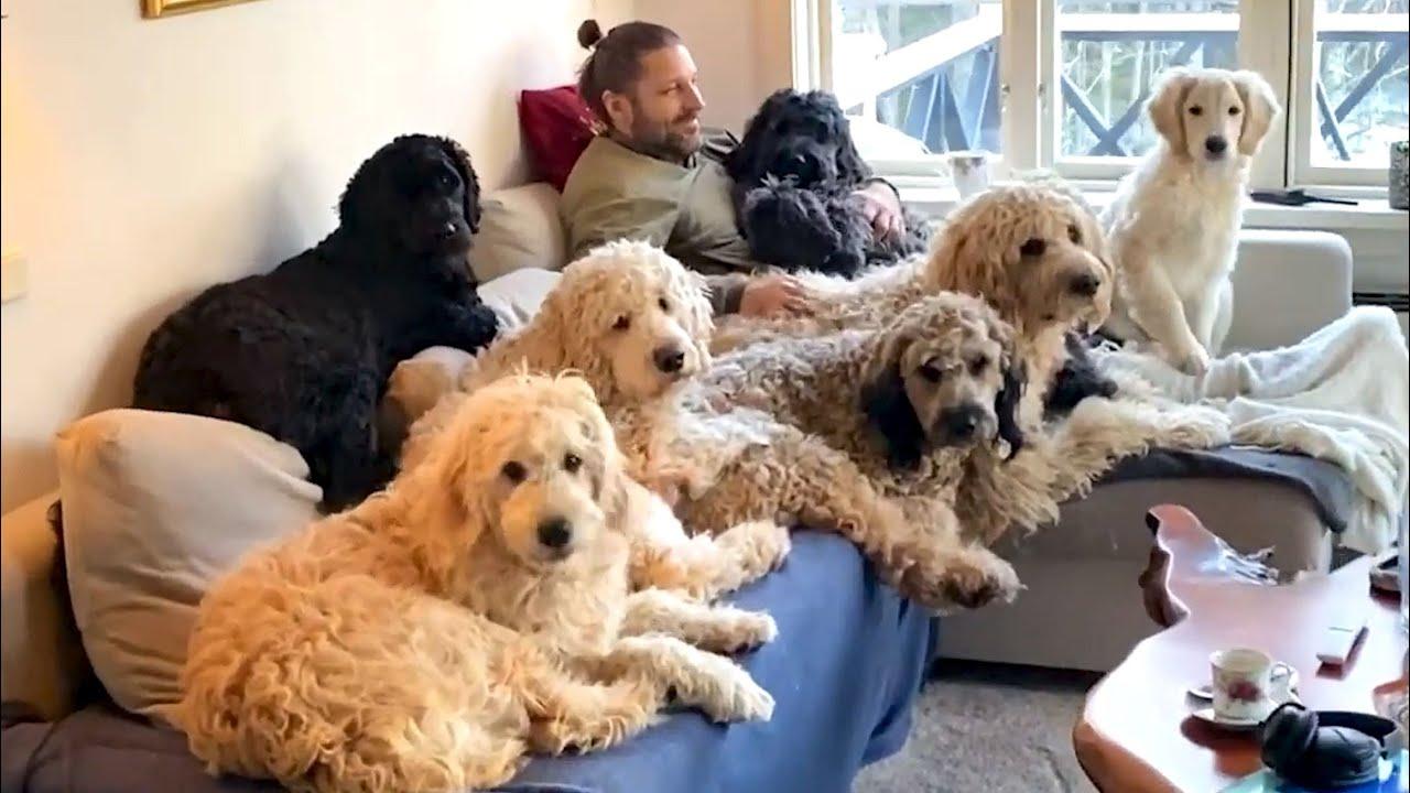 Embedded thumbnail for I migliori video (Parte 101) || ✪ Stern DuTube - momenti insoliti